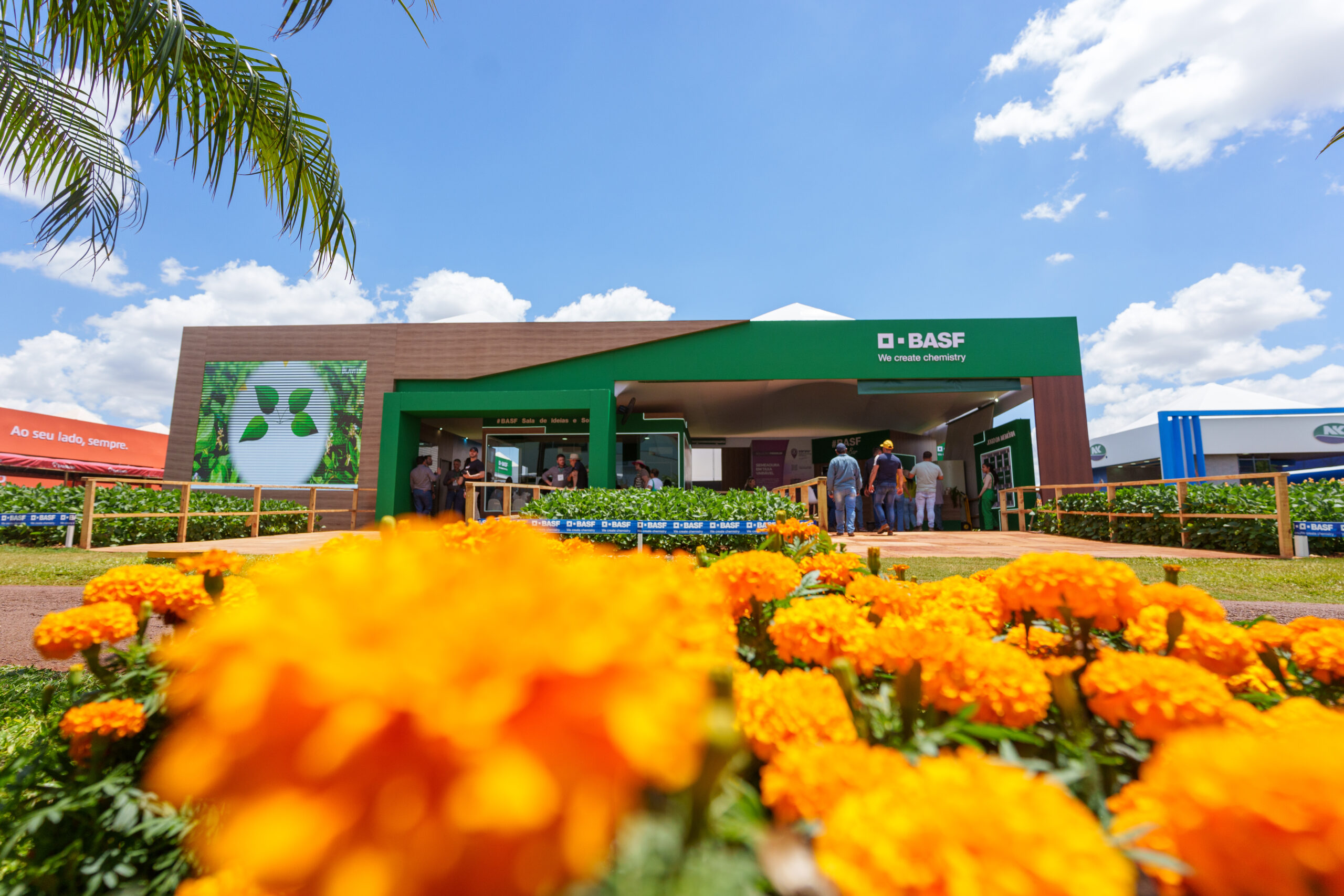 basf_grandes_01